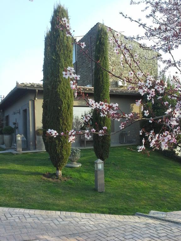 Residenza Teodorico Re B&B Viterbo Ngoại thất bức ảnh