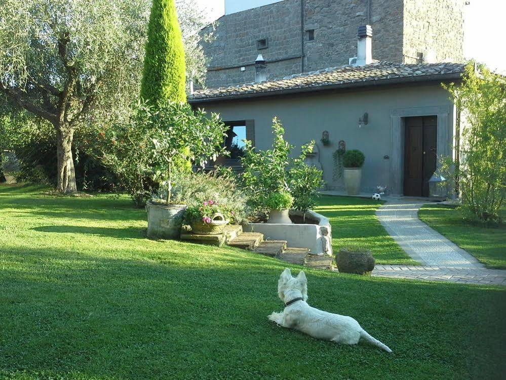 Residenza Teodorico Re B&B Viterbo Ngoại thất bức ảnh
